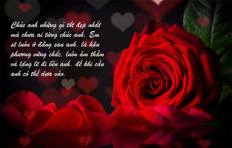 Thiệp chúc mừng sinh nhật người yêu hoa hồng đỏ nền trái tim ⋆ Ghép Ảnh  Online